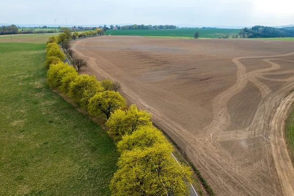 Campos Primavera Vistos Desde Aire Con Árboles Sin Gente Foto — Foto de Stock