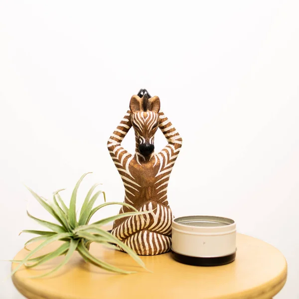 Wooden Zebra Air Plant Candle Small Wooden Table — Stock Photo, Image