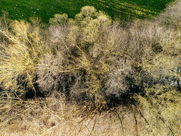 Una Vista Aérea Paisaje Rural Con Árboles Tierras Verdes —  Fotos de Stock