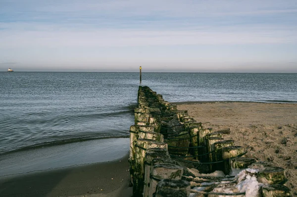 Utsikten Över Trästockarna Stranden Mot Bakgrund Nordsjön — Stockfoto