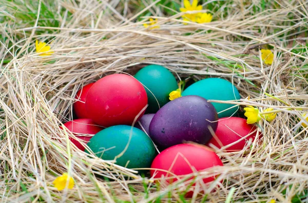 Påskägg Korg Grönt Gräs Solig Dag Påskägg Ängen Våren Lagerbild — Stockfoto