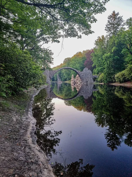 Отражение Моста Деревьев Спокойной Воде — стоковое фото
