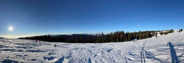 Krásné Panorama Zasněženého Horského Lesa Slunečného Dne Pod Modrou Oblohou — Stock fotografie