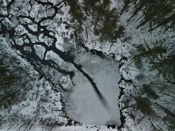 Uma Vista Superior Uma Floresta Coberta Neve Durante Inverno — Fotografia de Stock