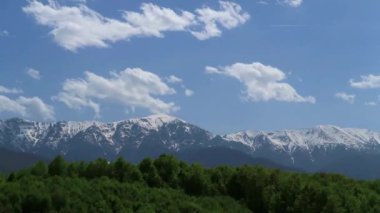Endonezya, Raja Ampat 'ta serin bir esinti ile yüksek tepelerdeki savananın harika manzarası