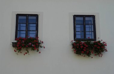 Ahşap çerçeveli iki pencerenin ve beyaz bir duvarda pembe saksıların güzel bir görüntüsü.