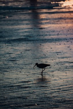 Gün batımında sahilde bir kum düdüğü siluetinin dikey görüntüsü.