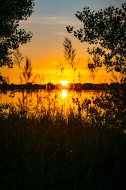 Gün batımında bulutlu gökyüzü ile birlikte deniz kenarındaki bir tarlada ağaçlardan ve bitkilerden oluşan bir siluet.