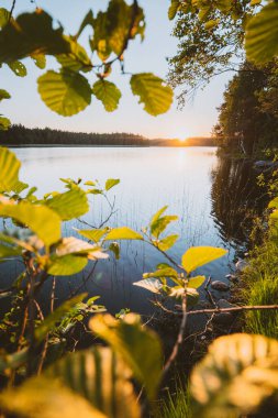 Finlandiya 'da yaz tatili