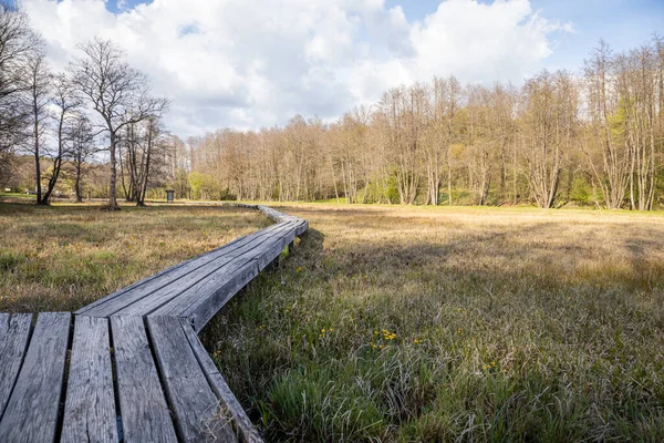 Prázdná Promenáda Louce Szoce Maďarsko — Stock fotografie