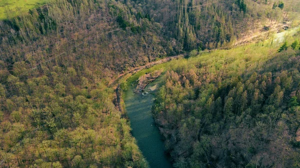 Widok Powietrza Rzeki Otoczonej Pięknym Lasem Słoneczny Dzień — Zdjęcie stockowe