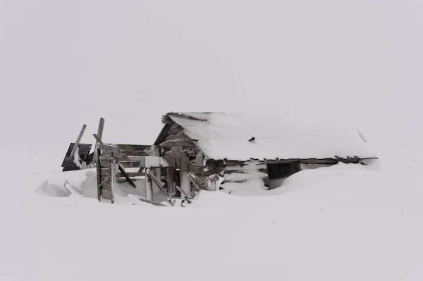 Desolate Log Cabin Covered Drifting Snow Bering Sea Coast Alaska — Stock Photo, Image