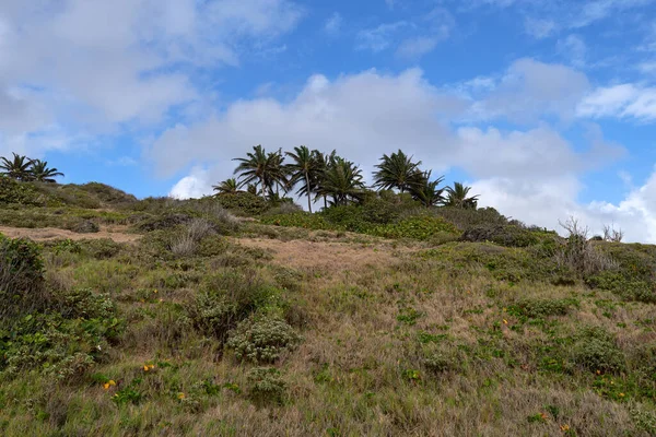 Belo Tiro Campo Fazenda Contra Céu Azul Nublado — Fotografia de Stock