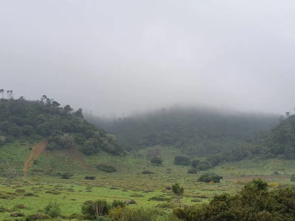 Schöne Aussicht Auf Die Natur Einem Nebligen Tag — Stockfoto