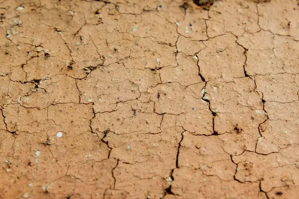 Macro Shot Face Brick Wall — Stock Photo, Image