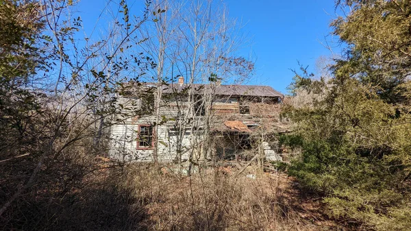 Abandonada Casa Velha Sendo Ultrapassada Pelo Crescimento Madeira — Fotografia de Stock