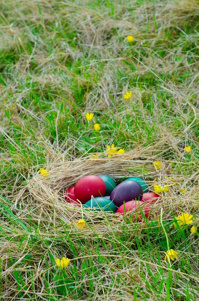 Easter Egg Basket Green Grass Sunny Day Easter Eggs Meadow — Stock Photo, Image