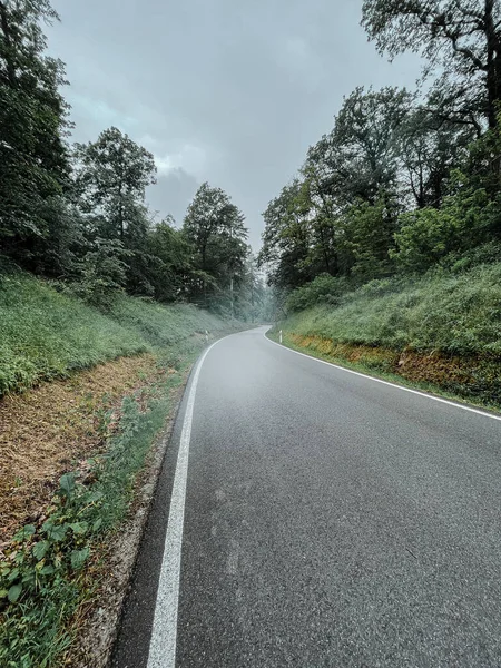 Een Verticaal Shot Van Lege Weg Door Het Bos — Stockfoto