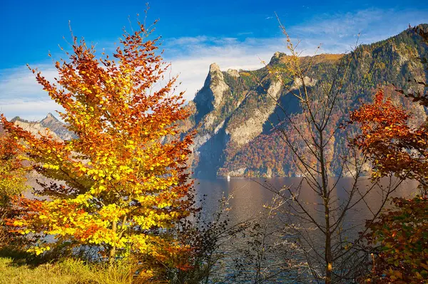 Bellissimo Autunno Vicino Lago Traunsee Nella Zona Salzkammergut Alta Austria — Foto Stock