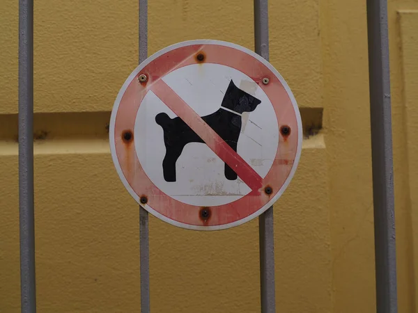 Старі Іржаві Собак Дозволяли Знак Паркані Жовтими Стінами Фоні — стокове фото