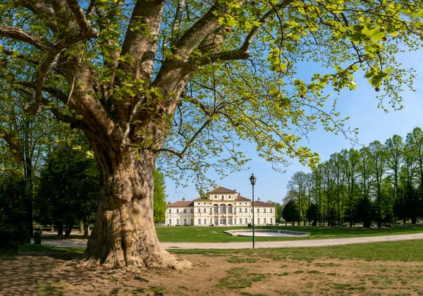 Die Schöne Aussicht Auf Die Villa Tesoriera Mit Amerikanischem Platanenholz — Stockfoto