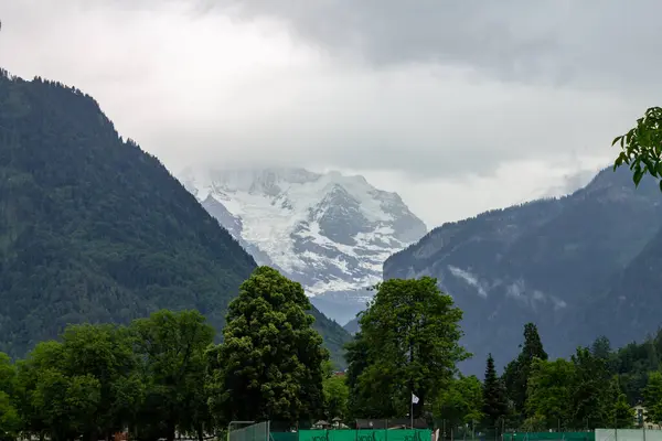 Splendida Vista Degli Alberi Verdi Contro Montagne Cielo Nuvoloso Jungfrau — Foto Stock