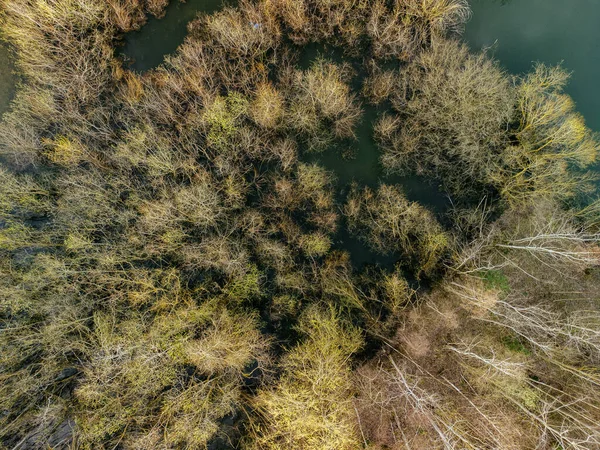 Una Vista Aérea Paisaje Rural Con Lago Rodeado Árboles — Foto de Stock