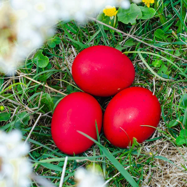 Velikonoční Košík Vejci Zelené Trávě Slunečného Dne Velikonoční Vajíčka Louce — Stock fotografie