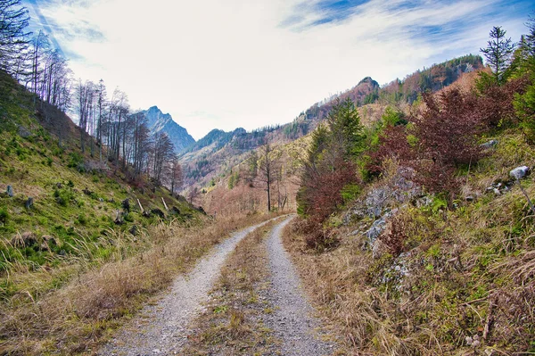 Scenic View Path Salzkammergut Mountains Autumn Sunny Day — Stock Photo, Image