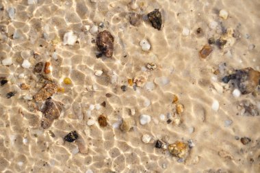 Deniz kabukları, deniz manzarası, deniz manzarası..