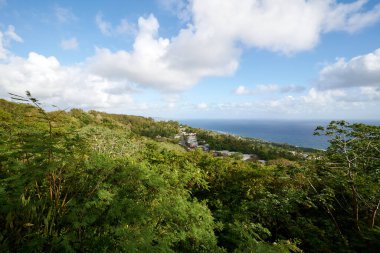 Kıyı şeridi yakınlarındaki yeşil arazilerin manzarası