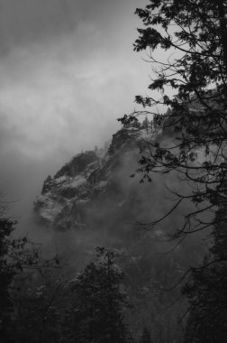 Karlar ağaçların arasından Yosemite, California dağlarını kapladı.