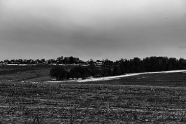 Rusya 'nın Moskova bölgesindeki geniş bir arazinin gri tonlu bir görüntüsü.