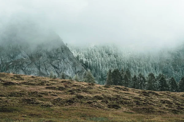 Almanya, Bavyera 'da bulutlu bir gökyüzü altında Berchtesgadener manzarasının güzel bir manzarası