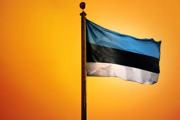 Estonya Bayrağının Parlak Sarı Gökyüzüne Doğru Dalgalanan Dijital Bir Çizimi — Stok fotoğraf