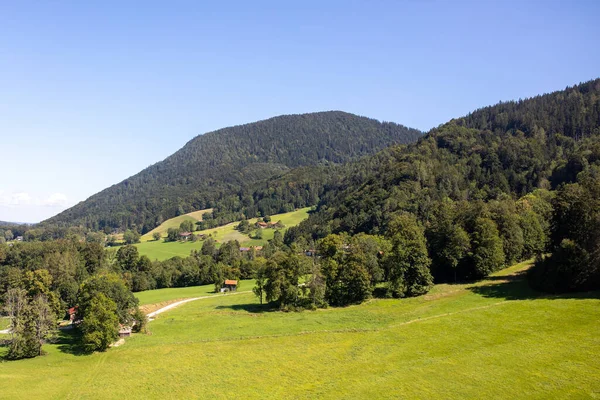 Bellissimo Paesaggio Alberi Che Crescono Campo — Foto Stock