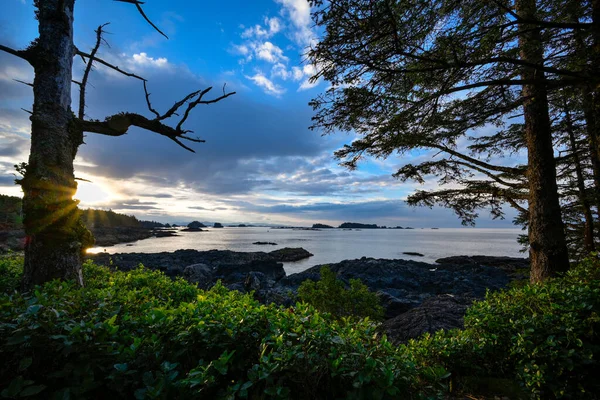 Ένα Όμορφο Τοπίο Του Wild Pacific Trail Κοιτάζοντας Πάνω Από — Φωτογραφία Αρχείου