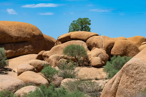 Ναμίμπια Τοπίο Στο Damaraland Δέντρα Που Αναπτύσσονται Μεγάλους Βράχους — Φωτογραφία Αρχείου