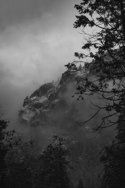 Sníh Pokryl Hory Yosemitu Kalifornie Mezi Stromy — Stock fotografie