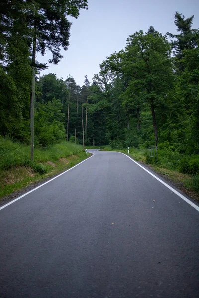 Tiro Vertical Uma Estrada Cercada Por Árvores Fundo Céu Nublado — Fotografia de Stock