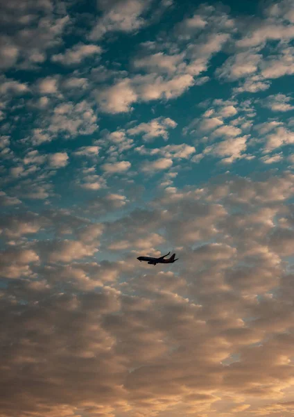 Bulutlu Mavi Gökyüzünde Bir Uçak Siluetinin Dikey Görüntüsü — Stok fotoğraf