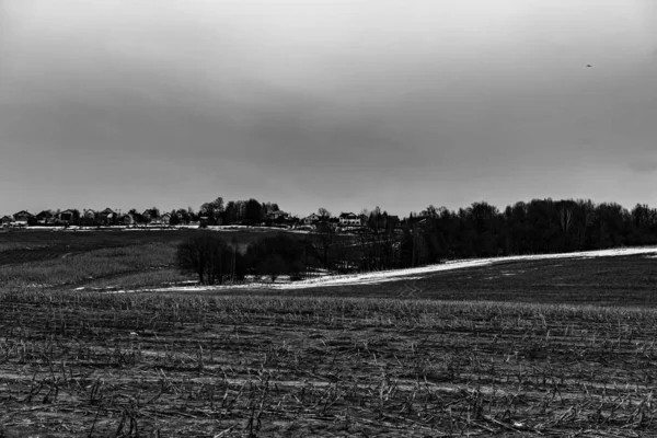 Rusya 'nın Moskova bölgesindeki geniş bir arazinin gri tonlu bir görüntüsü.