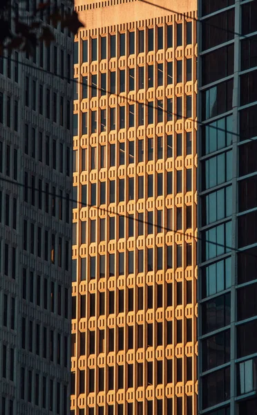 현대식 건물들의 — 스톡 사진