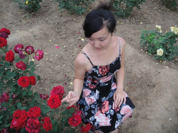 Egy Lány Virágok Pekingben Botanikus Kert Kína — Stock Fotó