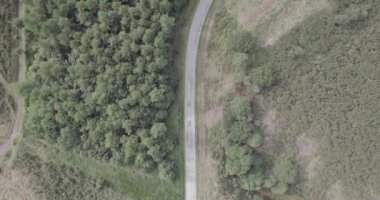 Fransa 'nın Bretagne ormanındaki bir yolun havadan görüntüsü.