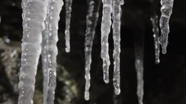 Monte Generoso dağında eriyen buza yakın çekim, Ticino, İsviçre