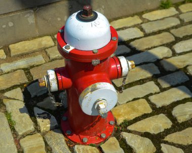 Şehir parkındaki kaldırım taşlı yangın musluğu.