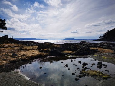 Arka planda göllü ve bulutlu gökyüzü olan kayalık bir sahile yakın çekim.