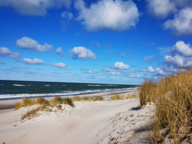Kumlu bir sahili olan dalgalı bir denize yakın çekim