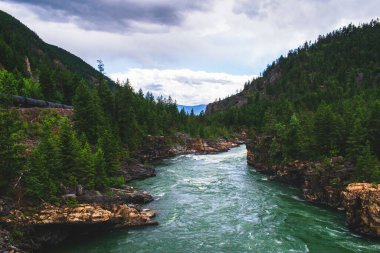 Ormanla çevrili güzel bir nehir manzarası.